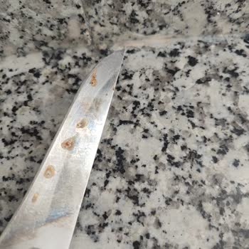 Yeni Alınan Vestel Bulaşık Makinesinde Sürekli Paslı Ve Bulanık Temizlik Sorunu, Servisten Çözüm Alınamıyor