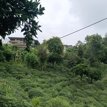 TTNET İnternetim Sürekli Kopuyor Hız Çok Düşük Arızalar Çözülmeden Kapatılıyor