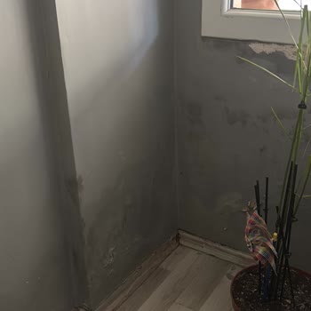 Foseptik Taşması Nedeniyle Evime Atık Su Giriyor, Kalıcı Çözüm Bekliyorum