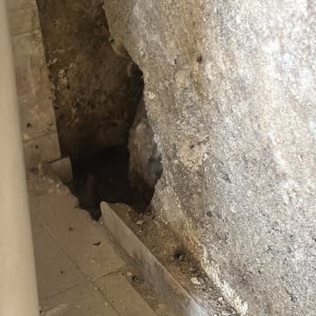 Foseptik Taşması Nedeniyle Evime Atık Su Giriyor, Kalıcı Çözüm Bekliyorum