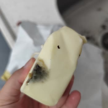 Meram Obruk BİM’den Aldığım Tereyağlarının Tamamı Küflü Ve Bozuk Çıktı, Mağduriyetim Giderilmiyor!