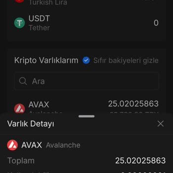 Icrypex Avax Transferi Onaylanmıyor, Mağduriyet Yaşıyorum