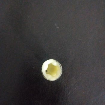 Blender Setimin Küçük Beyaz Parçası Kayıp Ve Yardım İstiyorum