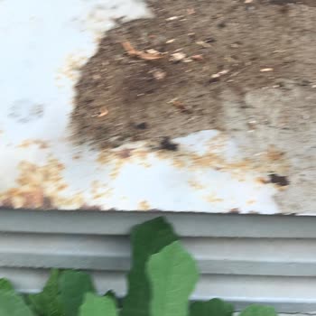 Migros Girişindeki Tehlikeli Parke Taşları Ve İlgisizlik