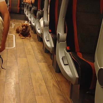 Çorum İzmir Otobüsünde İlgisizlik Hız İhlali Ve Hijyen Sorunu Yaşadım