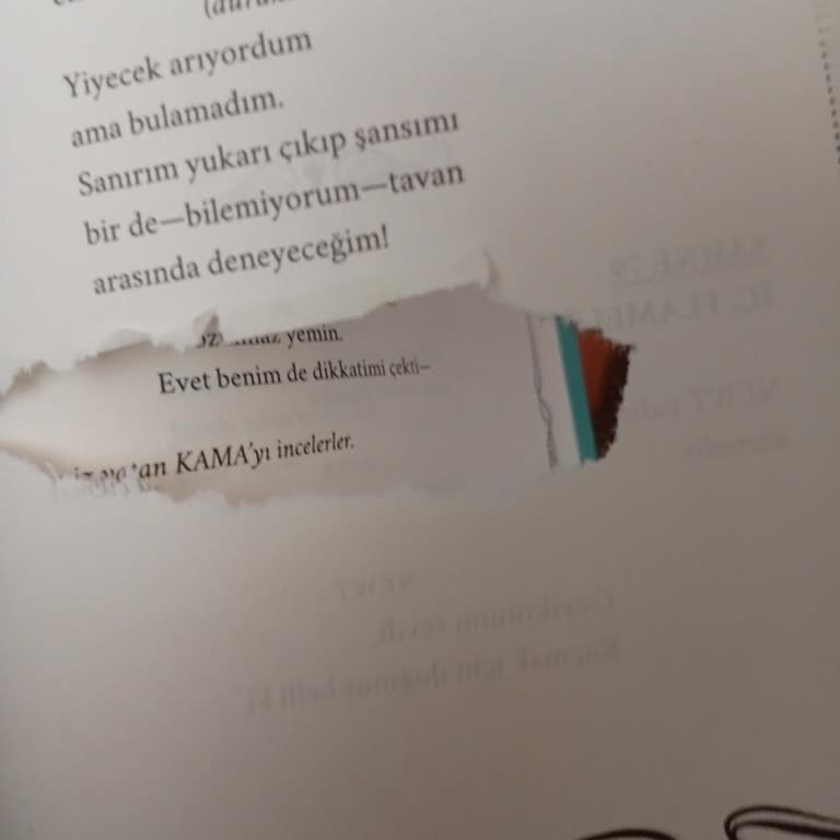 D&R Yırtık Sayfa İle Gelen Kitap Hayal Kırıklığı Yarattı!