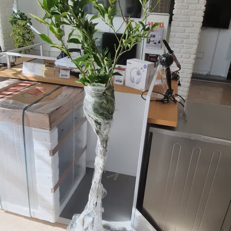 Rüzgar Botanik Görselden Farklı Ürün Gönderildi!