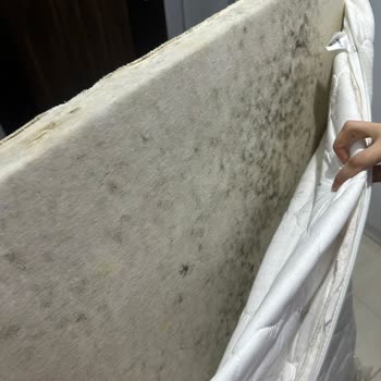 Kullanılmayan Yatakta Deformasyon Ve Küflenme: Garanti Reddi