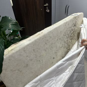 Kullanılmayan Yatakta Deformasyon Ve Küflenme: Garanti Reddi