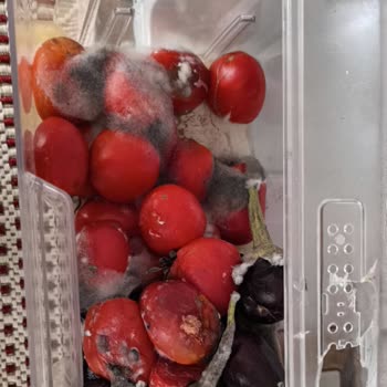 Uzun Süreli Elektrik Kesintisi Ve Su Yokluğu Nedeniyle Büyük Mağduriyet