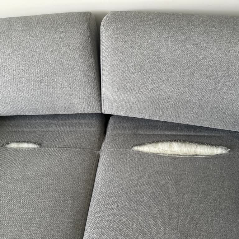 Garanti Kapsamındaki Koltukta Yırtık Ve İlgisizlik Mağduriyeti