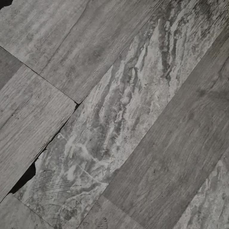 Bakım Sonrası Araç Performansında Düşüş Ve Parça Bekleme Sorunu