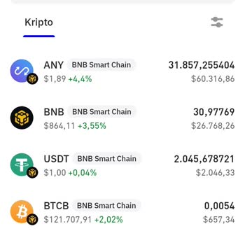 Trust Wallet Kripto Paralarım Ana Cüzdanda Görünmüyor, İşlem Yapamıyorum!