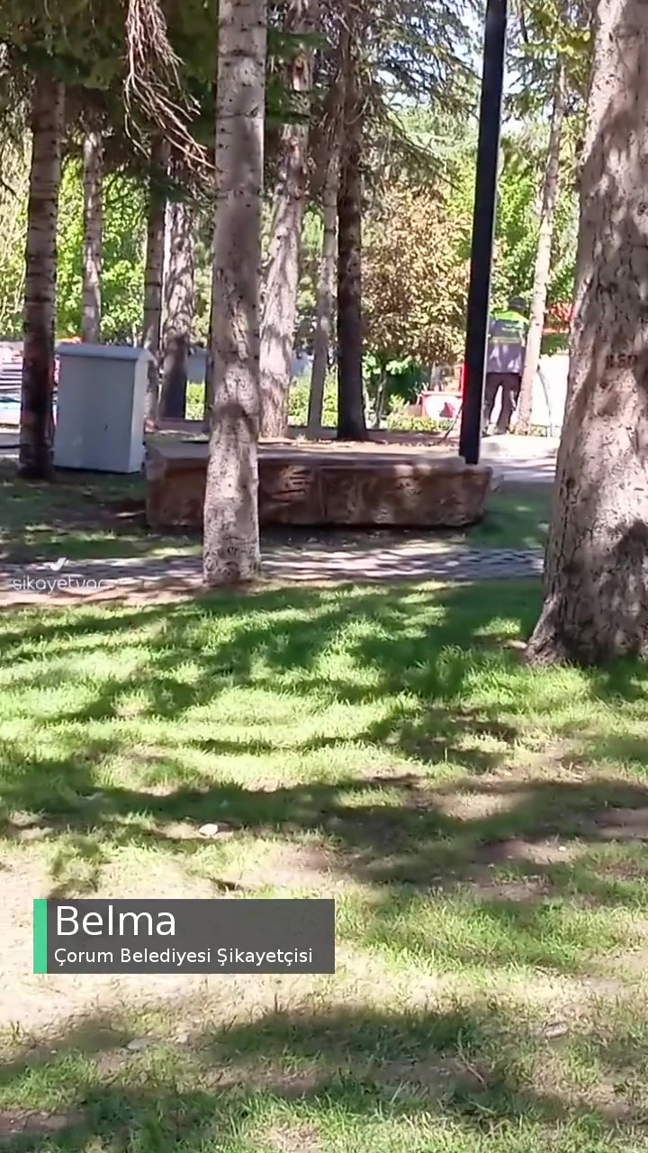 Çorum Belediyesi Güneşte Park Sulanıyor! videonun kapak resmi