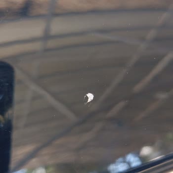 Citroen C5 Aircross Tavanında Boya Atması Ve Garanti Sorunu