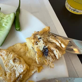 Hijyen Ve Temizlik Sorunları, Çözüm Sunulmayan Hizmet