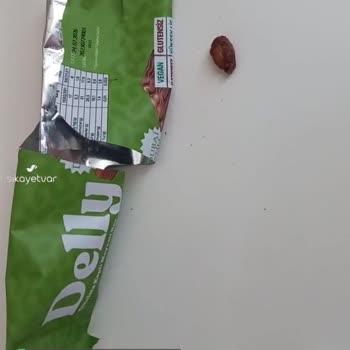 Delly Dubai Bardan Kabuklu Cisim Çıktı!