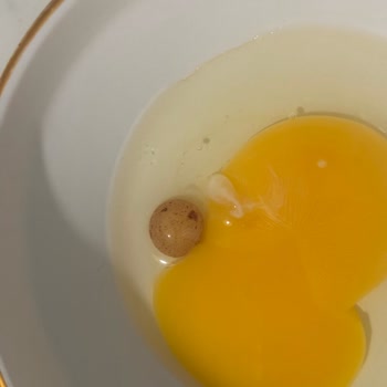 Aldığım Organik Yumurtalarda Siyah Lekeler Ve Baloncuk Sorunu Yaşadım