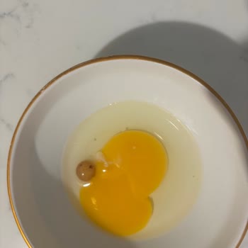 Aldığım Organik Yumurtalarda Siyah Lekeler Ve Baloncuk Sorunu Yaşadım