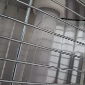 Amazon Hasarlı Ürün Teslimatı Ve Değişim Talebinin Reddedilmesi