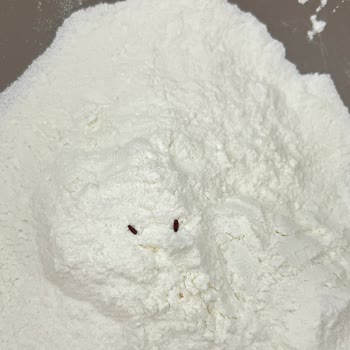 Tartolet İçinde Hamamböceği Görmek Şok Ediciydi