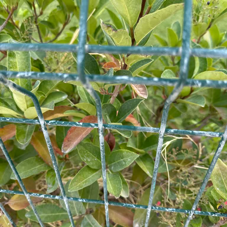 Araç Satışında Geciken Ödeme Nedeniyle Mağduriyet Yaşadım