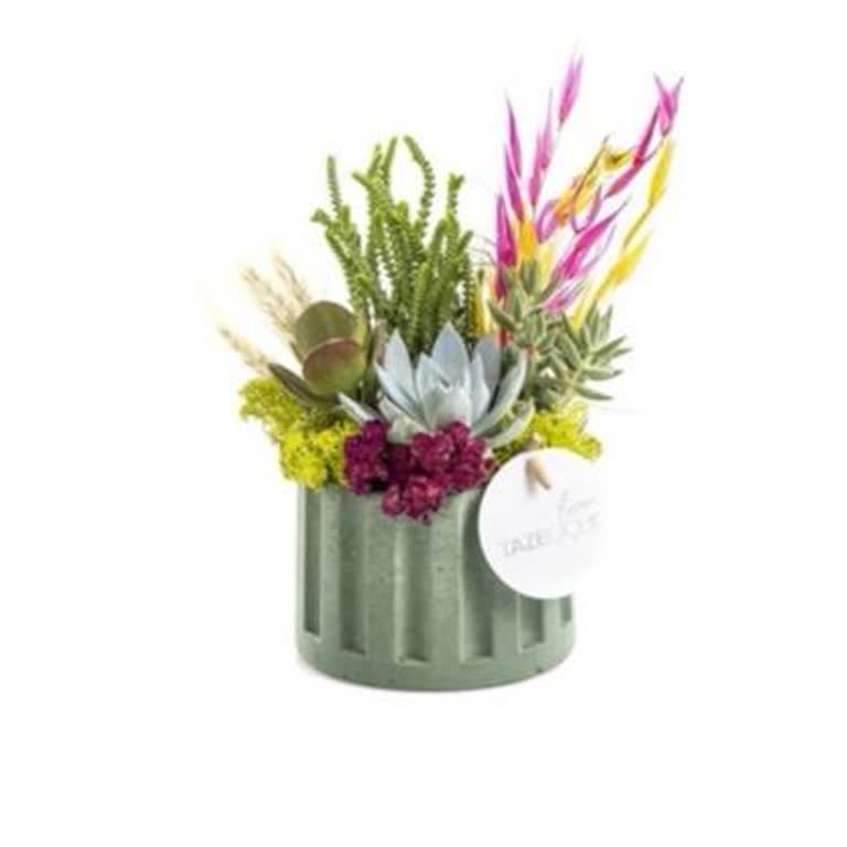 Taze Çiçek | Tazecicek.com Sipariş Edilen Teraryumun Geç Ve Hasarlı Teslimatı