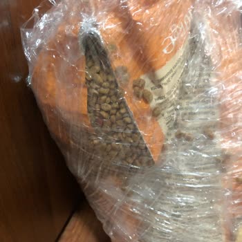 Patlak Ve Şüpheli Kedi Maması Mağduriyeti Çözülmüyor