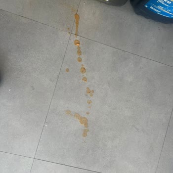 Tekrarlayan Sipariş Dökülmesi Ve Gecikme Sorunu İçin Kalıcı Çözüm Bekliyorum