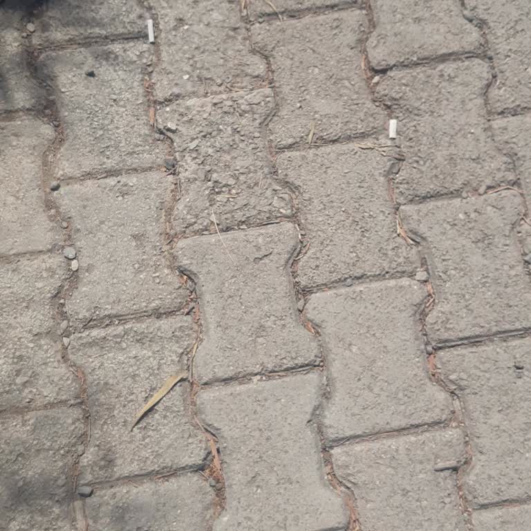 Depozito İadesi Gecikti, Araç Tesliminde De Gecikme Yaşadım