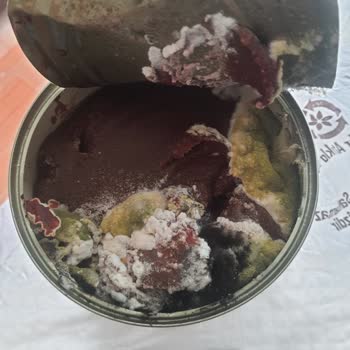 Aldığım Domates Salçası İlk Açıldığında Tamamen Küflü Çıktı