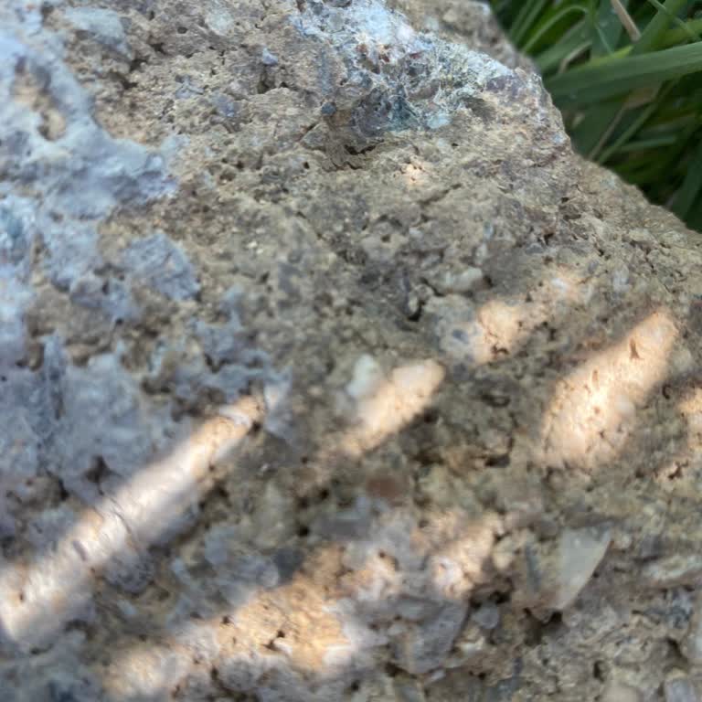 Şube Telefonlarına Ulaşılamıyor, Acil Dönüş Bekliyorum