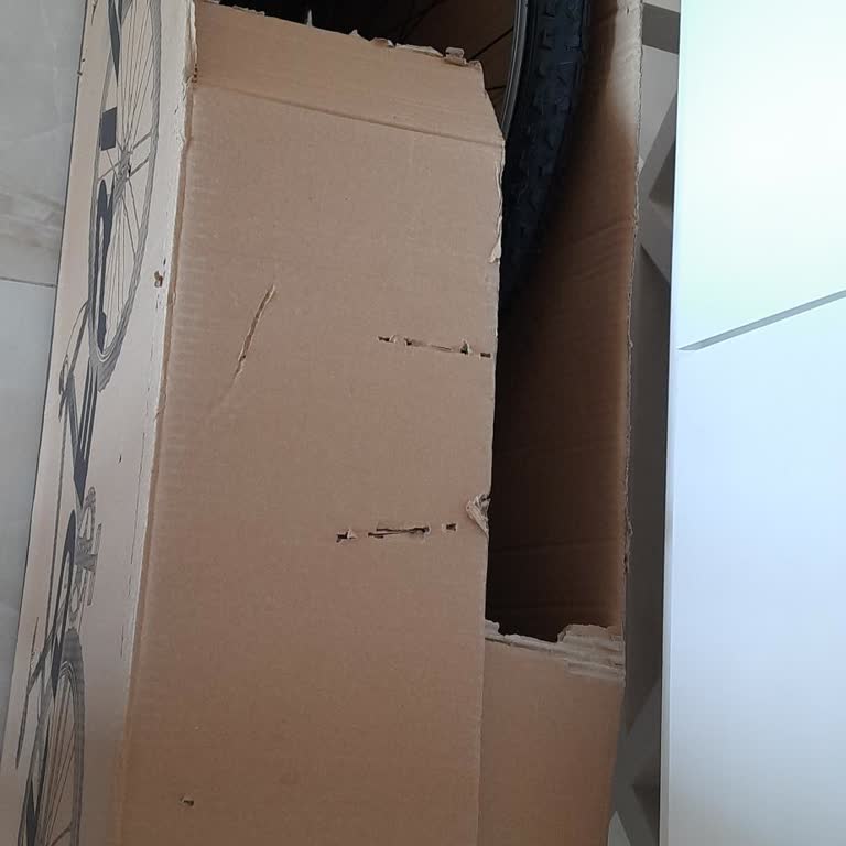 Aldığım Bisikletin Montajı Ücretli Çıktı Kutu Yırtık Ve Belgeler Eksik