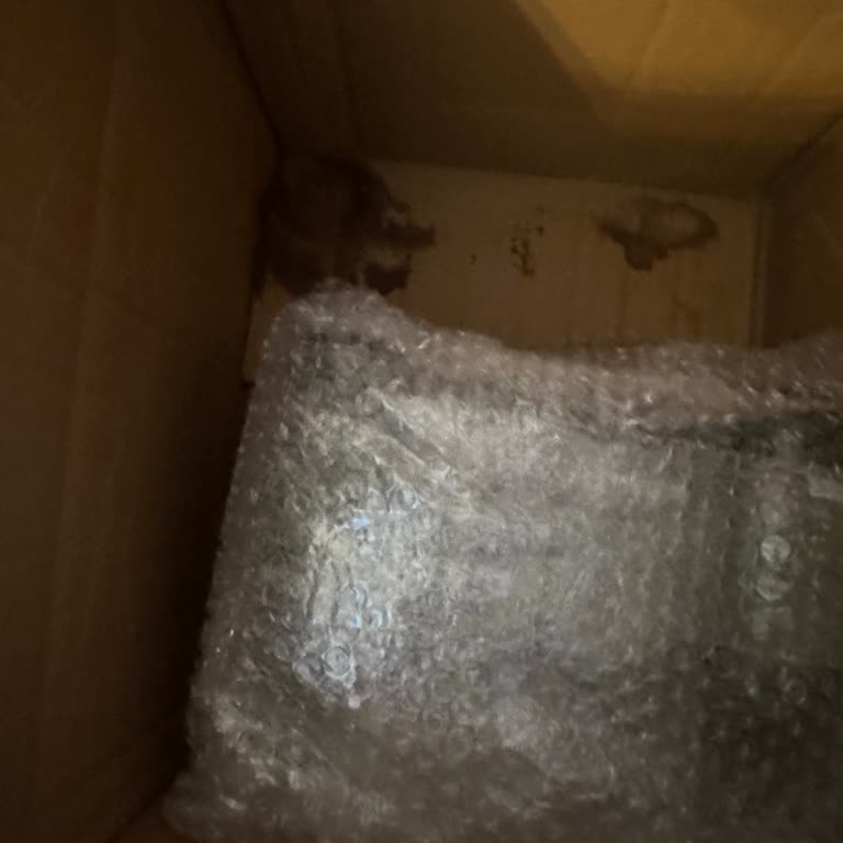 Kargo Görevlisi Paketi Kapıya Teslim Etmedi, Mağdur Oldum