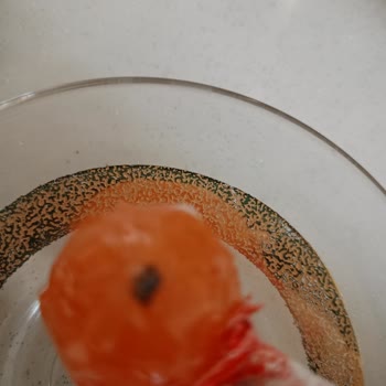 Mevyjoy Şekerin İçinden Çıkan Cisim!