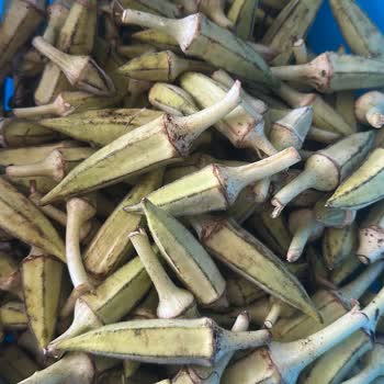 @dogalbahceurunleri_Ürünler Bozuk Geldi Ve Firma Hiçbir Şekilde Çözüm Sunmadı!