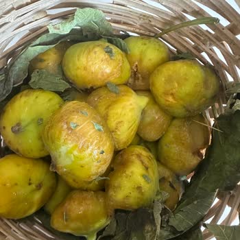 @dogalbahceurunleri_Ürünler Bozuk Geldi Ve Firma Hiçbir Şekilde Çözüm Sunmadı!