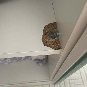 Teslimat Gecikmesi, Eksik Ürün Ve Haksız Ücret Talepleri Nedeniyle Mağduriyet