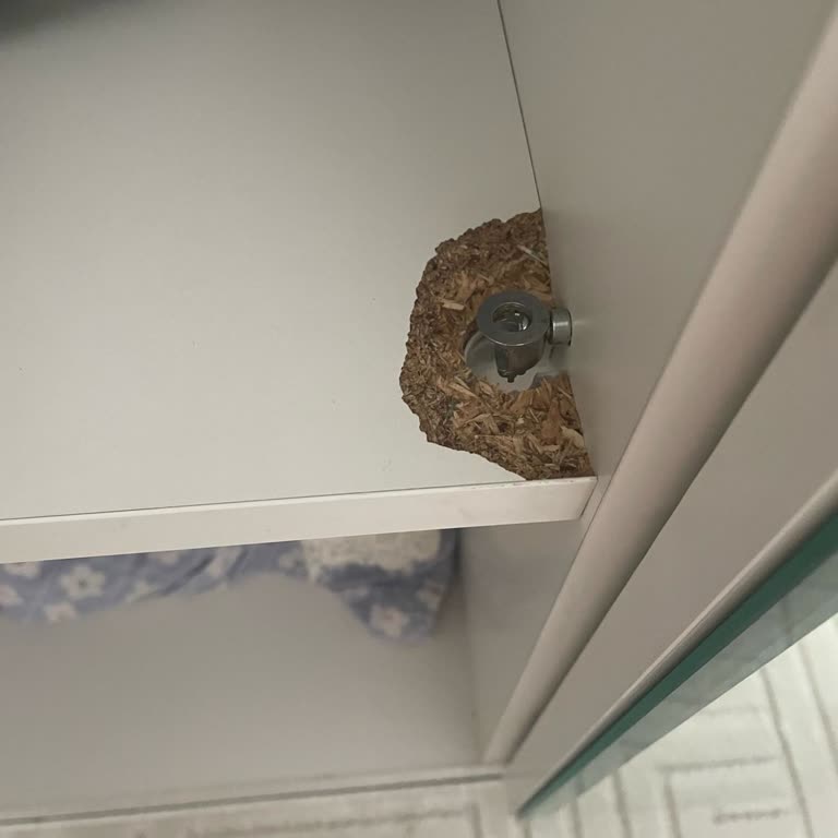 Teslimat Gecikmesi, Eksik Ürün Ve Haksız Ücret Talepleri Nedeniyle Mağduriyet