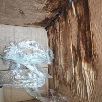 Eksik Ve Dökülmüş Şampuan Nedeniyle Maddi Kayıp