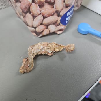 Aldığım Fıstık Ürününde Hijyen Sorunu Ve Yabancı Madde