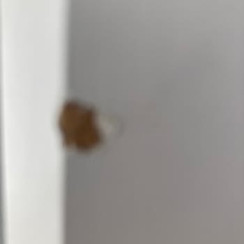 Online Siparişte Teslimat Ve Hasarlı Ürün Mağduriyeti Çifte Sorun Yarattı