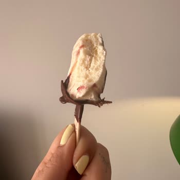 Dondurmadan Çıkan Yabancı Madde Sağlığımı Riske Attı