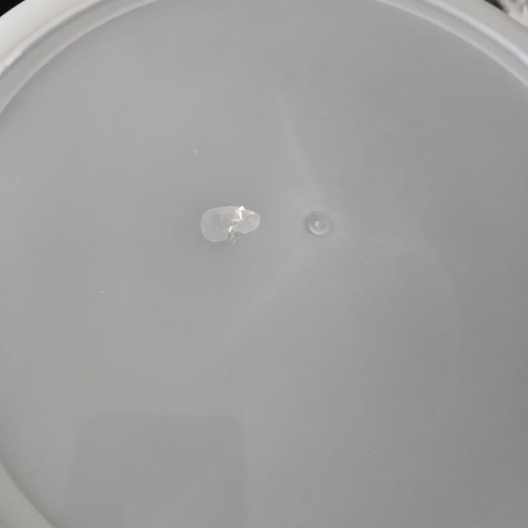 Deforme Ve Erimiş Tencere Kapağına Çözüm Sunulmuyor