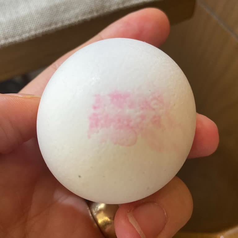 Antalya Rixos Park Hotel Memnuniyetsizliği