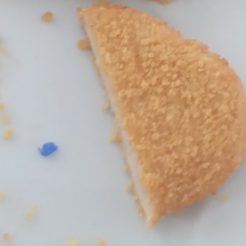 Lezita Şinitzel İçinden Plastik Parça Çıktı: Sağlık Ve Kalite Endişesi