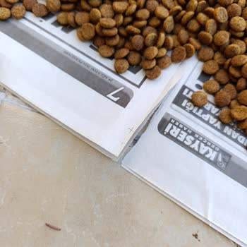 Kurtlu Diyabetik Köpek Maması Ve İletişim Eksikliği