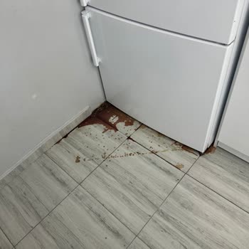 Garanti Bitiminden Hemen Sonra Bozulan Buzdolabı Mağduriyeti