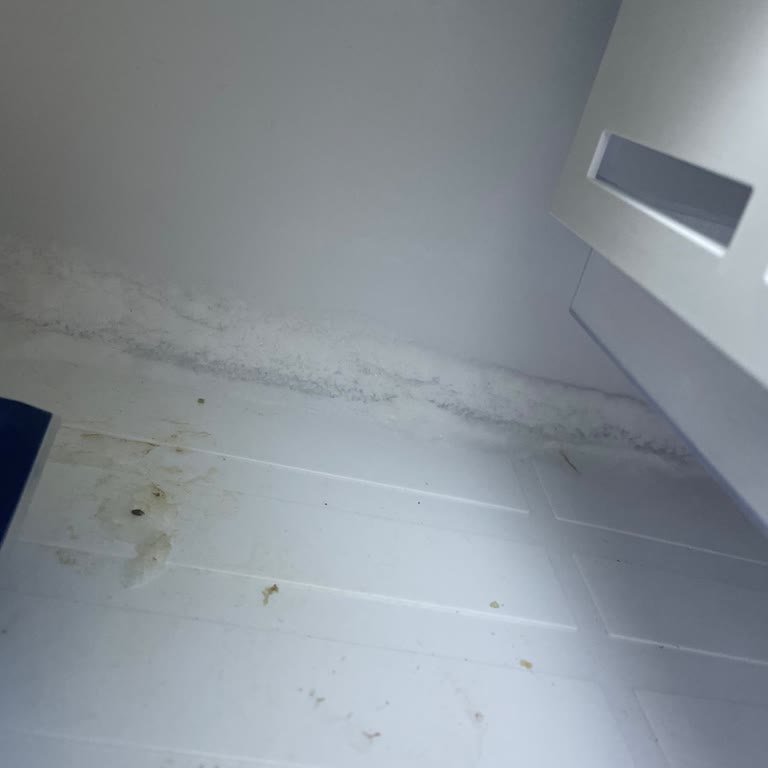 Vestel Buzdolabında Tekrarlayan Arıza Ve Yetersiz Servis Desteği