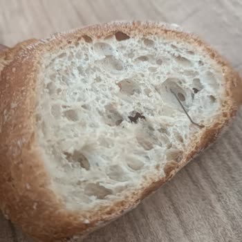 Tadhisar Unlu Mamüller Denetlenmeli